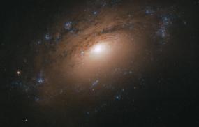 Галактика NGC 3169