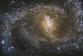 Галактика NGC 2835