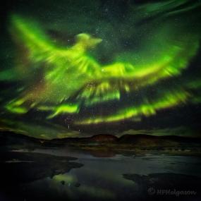 Феникс над Исландией