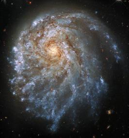 Спиральная галактика NGC 2276
