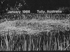 Тулли-Ривер, Тасмания, Австралия - Январь 1966