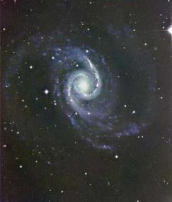 Галактика NGC 1566