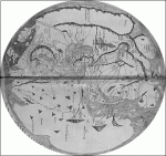 Карта Пиетро Весконтес 1321 года 2